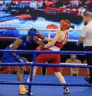 Flori Tarani e nis mirë, por humb përballë kubanezit Mustelier